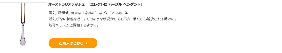 オーストラリアブッシュ 「エレクトロ パープル ペンダント」