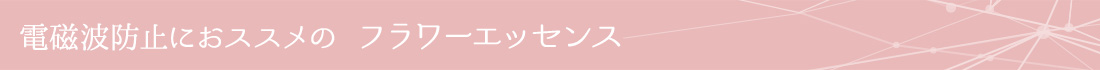 電磁波防止にオススメのフラワーエッセンス