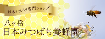 日本ミツバチ専門ショップ
「八ヶ岳|日本みつばち養蜂園」