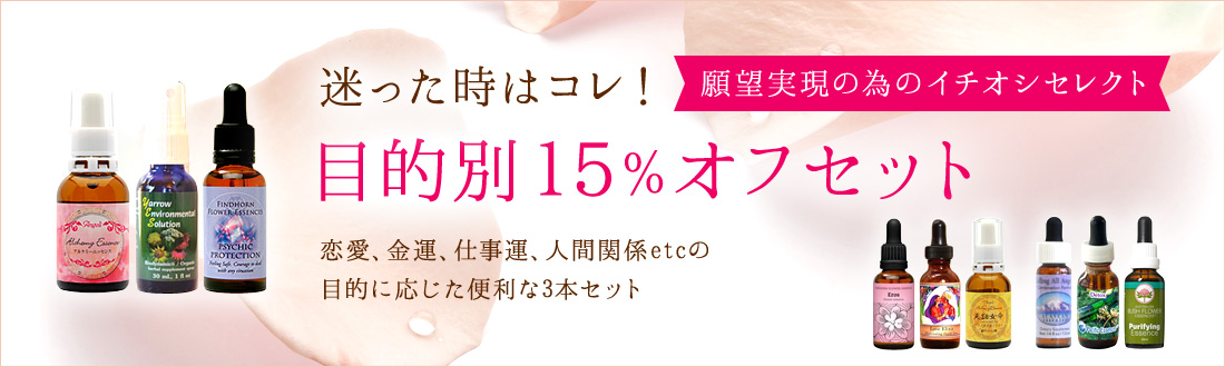 迷った時はコレ! 目的別15%オフセット