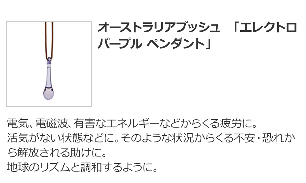 オーストラリアブッシュ 「エレクトロ パープル ペンダント