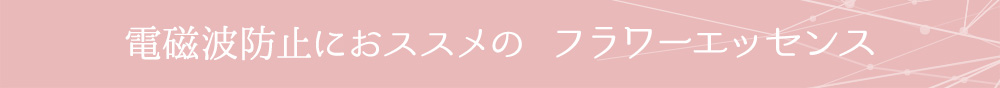 アルケミー(錬金術)エッセンスで心身の進化促進 おススメはこちら
