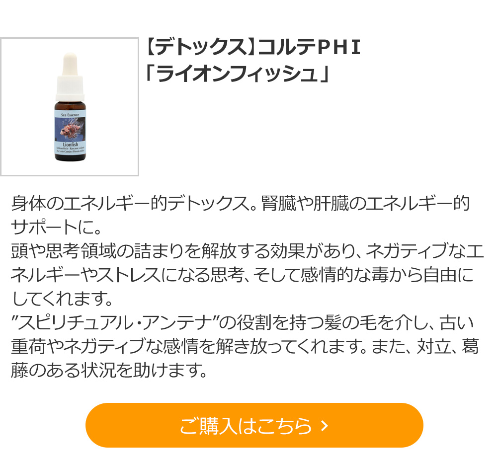【デトックス】コルテＰＨＩ　「ライオンフィッシュ」 