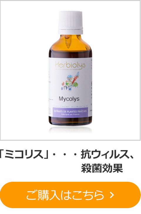 「ミコリス」・・・抗ウィルス、殺菌効果 
