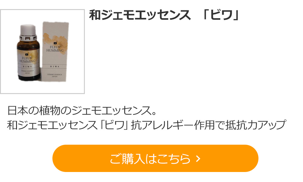 和ジェモエッセンス「ビワ」