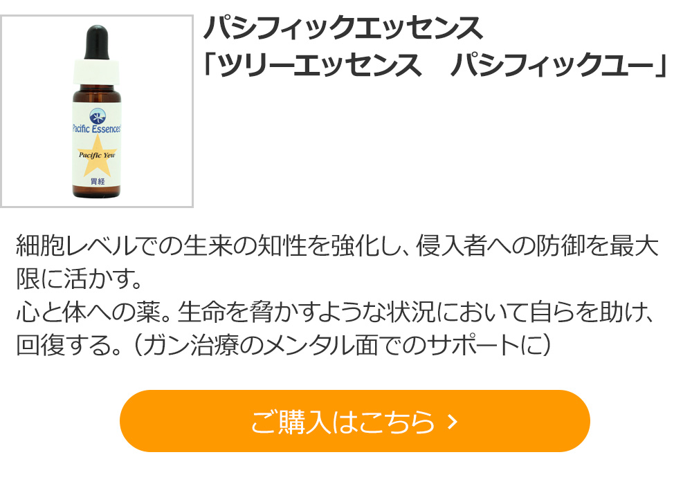 【１０％オフ】パシフィックエッセンス　「ツリーエッセンス　パシフィックユー」